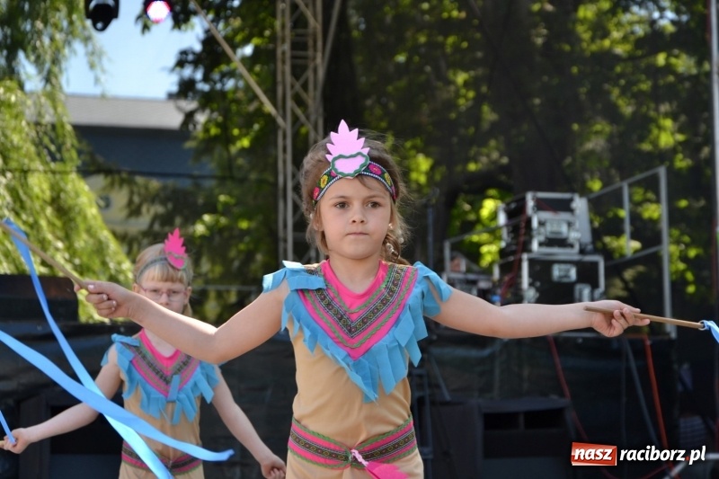 Zdjęcie w galerii na portalu naszraciborz.pl: Majowy festyn przy zamku w Chałupkach  wiadomości z regionu