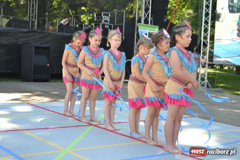 Zdjęcie w galerii na portalu naszraciborz.pl: Majowy festyn przy zamku w Chałupkach  wiadomości z regionu