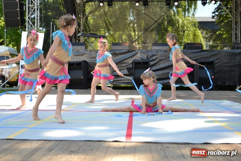 Zdjęcie w galerii na portalu naszraciborz.pl: Majowy festyn przy zamku w Chałupkach  wiadomości z regionu