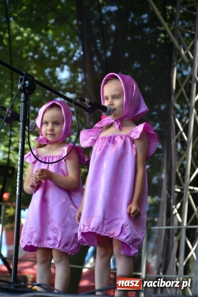 Zdjęcie w galerii na portalu naszraciborz.pl: Majowy festyn przy zamku w Chałupkach  wiadomości z regionu
