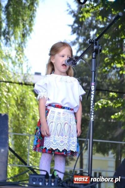 Zdjęcie w galerii na portalu naszraciborz.pl: Majowy festyn przy zamku w Chałupkach  wiadomości z regionu