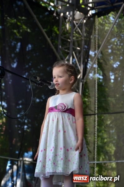 Zdjęcie w galerii na portalu naszraciborz.pl: Majowy festyn przy zamku w Chałupkach  wiadomości z regionu