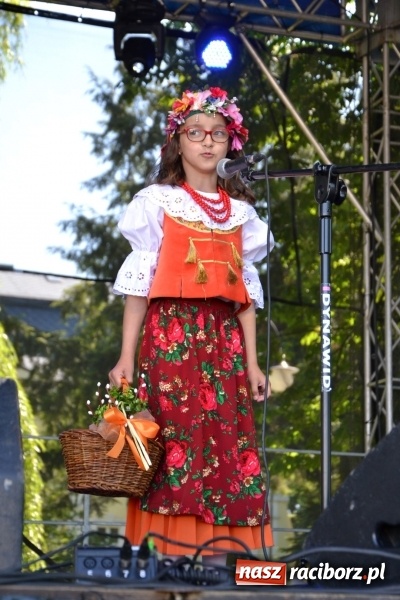 Zdjęcie w galerii na portalu naszraciborz.pl: Majowy festyn przy zamku w Chałupkach  wiadomości z regionu