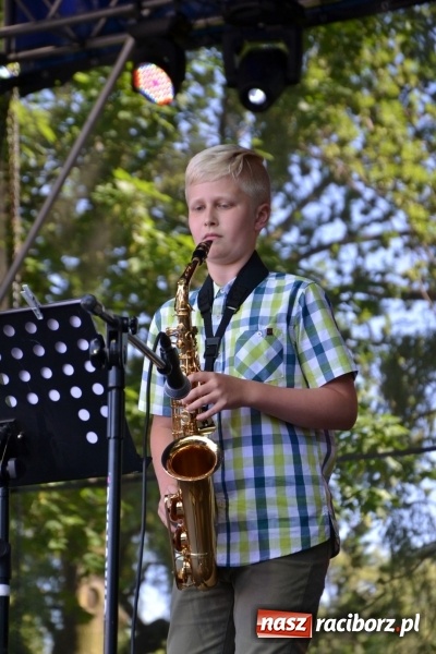 Zdjęcie w galerii na portalu naszraciborz.pl: Majowy festyn przy zamku w Chałupkach  wiadomości z regionu