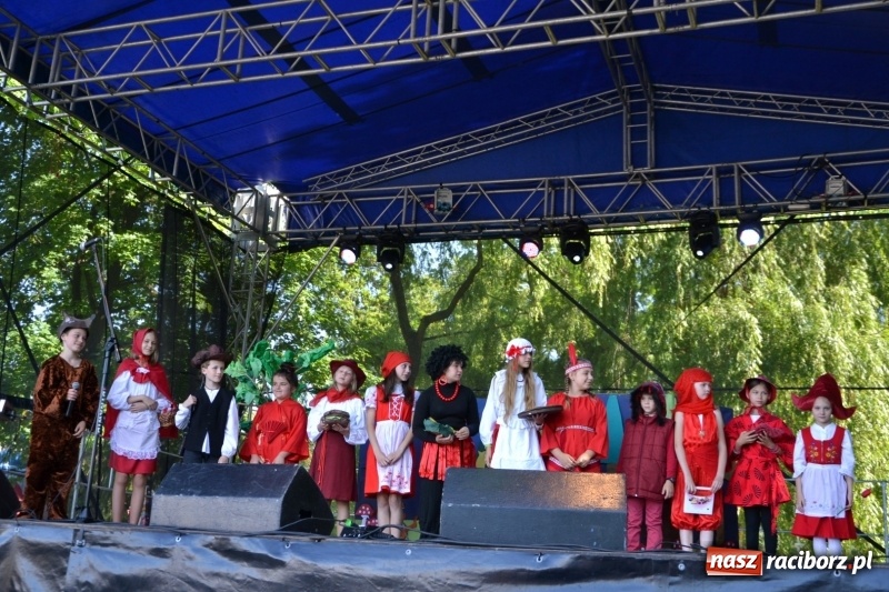 Zdjęcie w galerii na portalu naszraciborz.pl: Majowy festyn przy zamku w Chałupkach  wiadomości z regionu