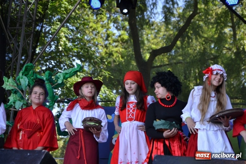 Zdjęcie w galerii na portalu naszraciborz.pl: Majowy festyn przy zamku w Chałupkach  wiadomości z regionu