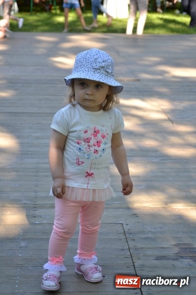 Zdjęcie w galerii na portalu naszraciborz.pl: Majowy festyn przy zamku w Chałupkach  wiadomości z regionu