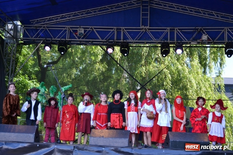 Zdjęcie w galerii na portalu naszraciborz.pl: Majowy festyn przy zamku w Chałupkach  wiadomości z regionu