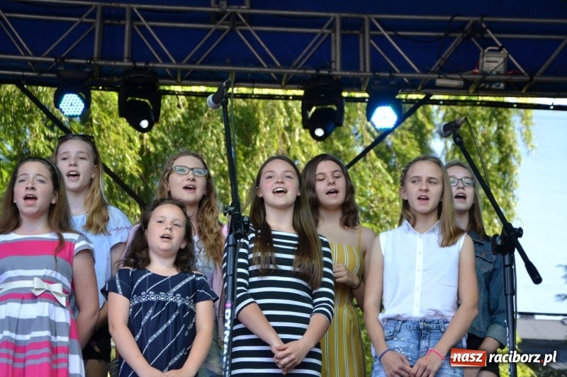 Zdjęcie w galerii na portalu naszraciborz.pl: Majowy festyn przy zamku w Chałupkach  wiadomości z regionu