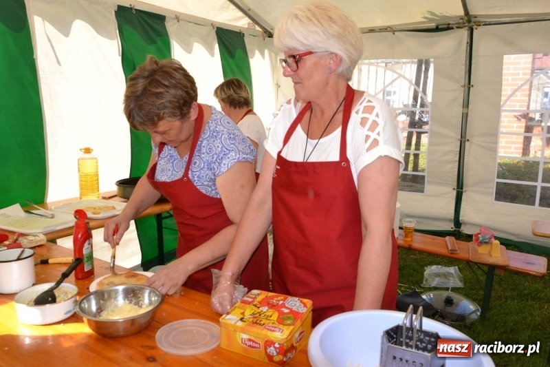Zdjęcie w galerii na portalu naszraciborz.pl: Majowy festyn przy zamku w Chałupkach  wiadomości z regionu