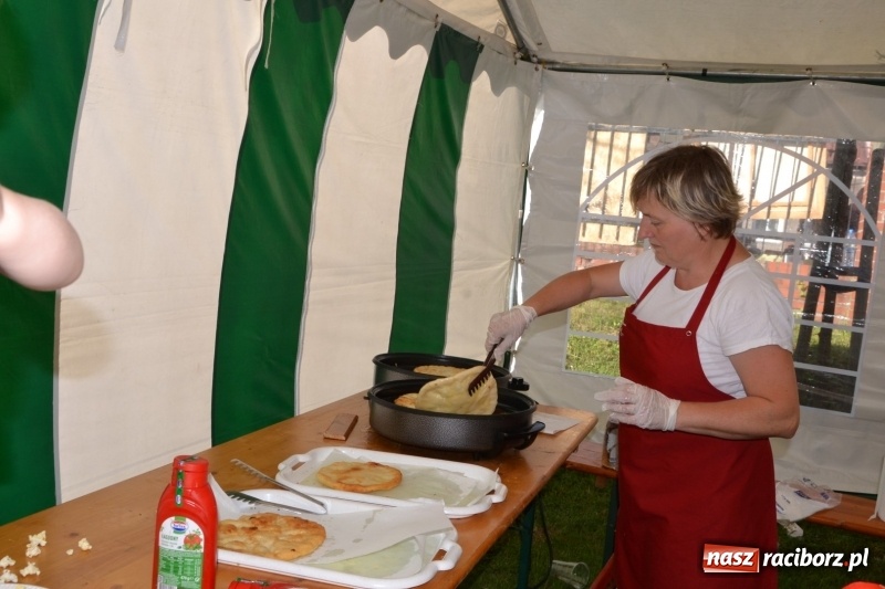 Zdjęcie w galerii na portalu naszraciborz.pl: Majowy festyn przy zamku w Chałupkach  wiadomości z regionu