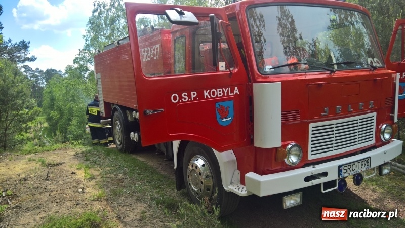 Zdjęcie w galerii na portalu naszraciborz.pl: Wielki pożar lasu koło Rudy Kozielskiej. Dziś w naszym powiecie odbyły się ćwiczenia wojewódzkie straży pożarnej wiadomości z regionu