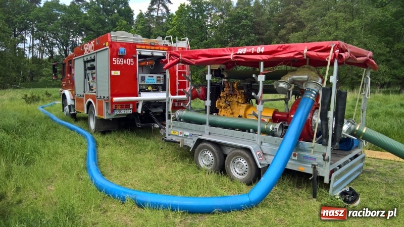 Zdjęcie w galerii na portalu naszraciborz.pl: Wielki pożar lasu koło Rudy Kozielskiej. Dziś w naszym powiecie odbyły się ćwiczenia wojewódzkie straży pożarnej wiadomości z regionu