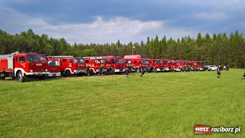 Zdjęcie w galerii na portalu naszraciborz.pl: Wielki pożar lasu koło Rudy Kozielskiej. Dziś w naszym powiecie odbyły się ćwiczenia wojewódzkie straży pożarnej wiadomości z regionu