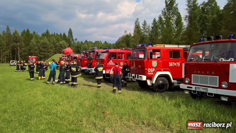Zdjęcie w galerii na portalu naszraciborz.pl: Wielki pożar lasu koło Rudy Kozielskiej. Dziś w naszym powiecie odbyły się ćwiczenia wojewódzkie straży pożarnej wiadomości z regionu