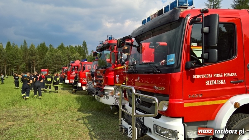 Zdjęcie w galerii na portalu naszraciborz.pl: Wielki pożar lasu koło Rudy Kozielskiej. Dziś w naszym powiecie odbyły się ćwiczenia wojewódzkie straży pożarnej wiadomości z regionu
