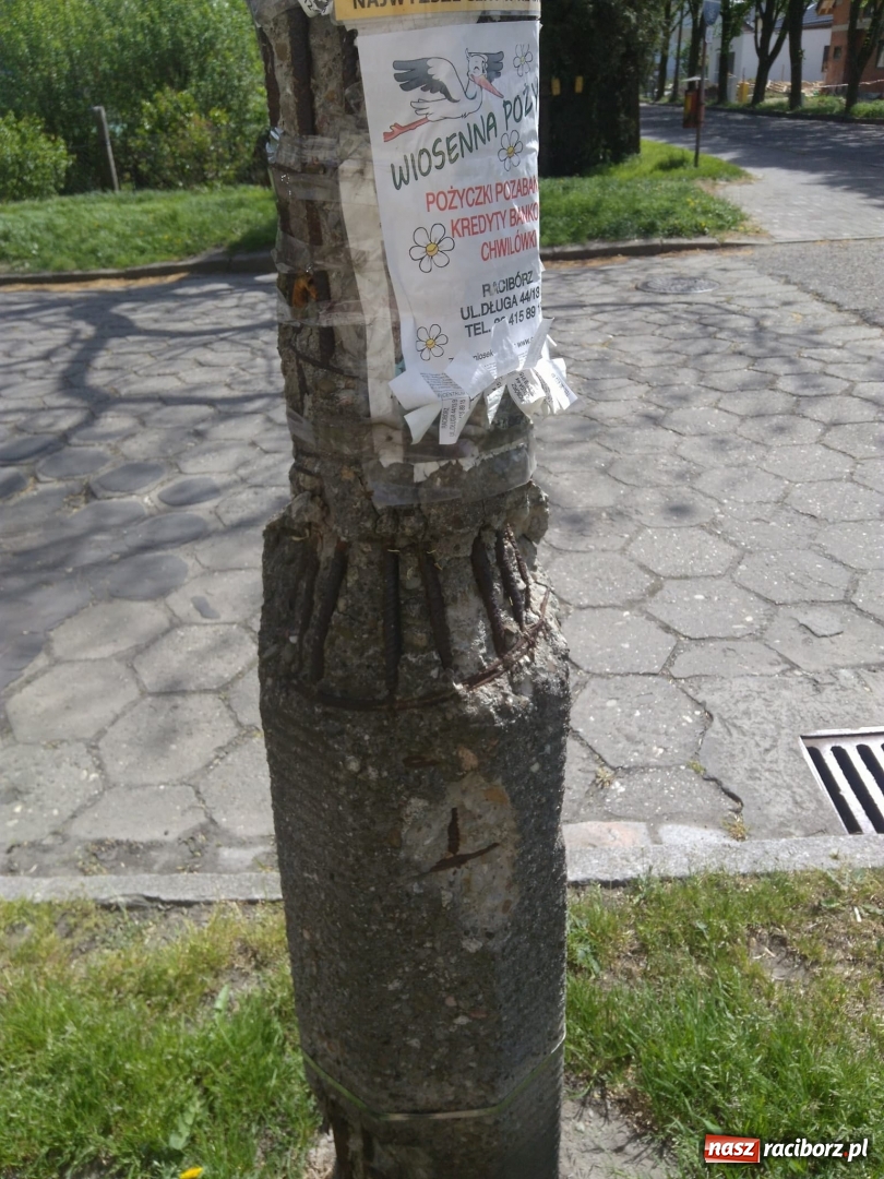 Zdjęcie w galerii na portalu naszraciborz.pl: Słup stoi na słowo honoru, a latarnia oświetla koronę drzewa  wiadomości z regionu