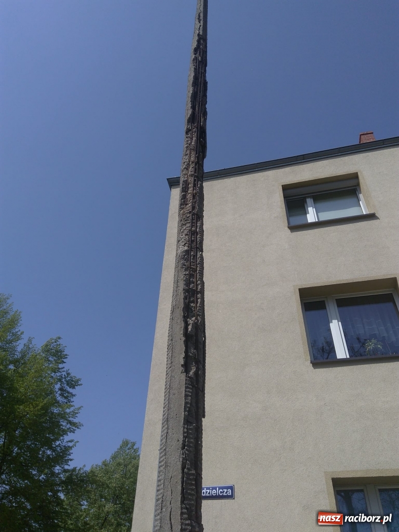 Zdjęcie w galerii na portalu naszraciborz.pl: Słup stoi na słowo honoru, a latarnia oświetla koronę drzewa  wiadomości z regionu