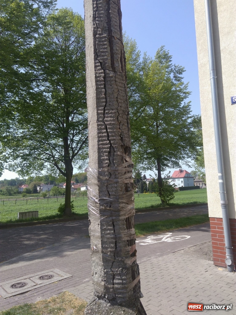 Zdjęcie w galerii na portalu naszraciborz.pl: Słup stoi na słowo honoru, a latarnia oświetla koronę drzewa  wiadomości z regionu