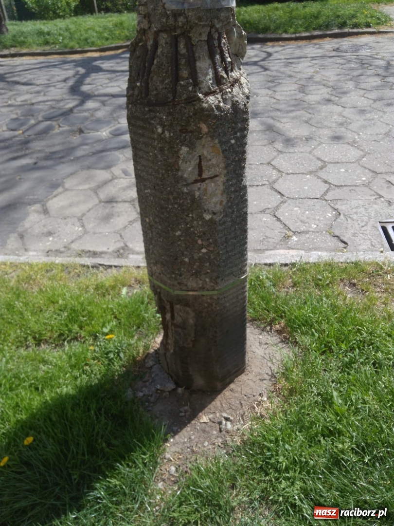 Zdjęcie w galerii na portalu naszraciborz.pl: Słup stoi na słowo honoru, a latarnia oświetla koronę drzewa  wiadomości z regionu