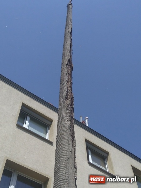 Zdjęcie w galerii na portalu naszraciborz.pl: Słup stoi na słowo honoru, a latarnia oświetla koronę drzewa  wiadomości z regionu