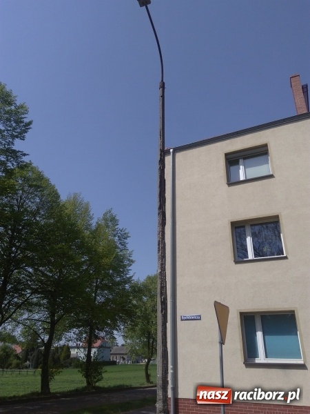 Zdjęcie w galerii na portalu naszraciborz.pl: Słup stoi na słowo honoru, a latarnia oświetla koronę drzewa  wiadomości z regionu