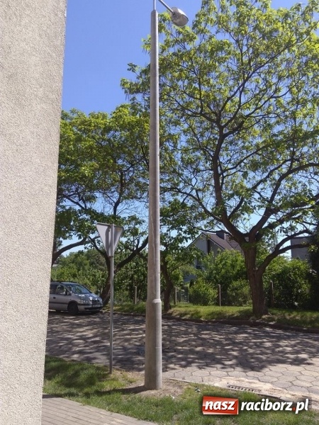 Zdjęcie w galerii na portalu naszraciborz.pl: Słup stoi na słowo honoru, a latarnia oświetla koronę drzewa  wiadomości z regionu