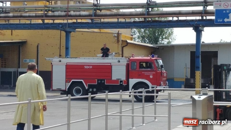 Zdjęcie w galerii na portalu naszraciborz.pl: Pożar w Henklu. Ćwiczenia raciborskiej kompanii odwodowej KSRG  wiadomości z regionu