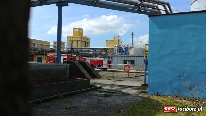 Zdjęcie w galerii na portalu naszraciborz.pl: Pożar w Henklu. Ćwiczenia raciborskiej kompanii odwodowej KSRG  wiadomości z regionu