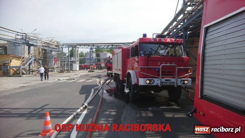 Zdjęcie w galerii na portalu naszraciborz.pl: Pożar w Henklu. Ćwiczenia raciborskiej kompanii odwodowej KSRG  wiadomości z regionu
