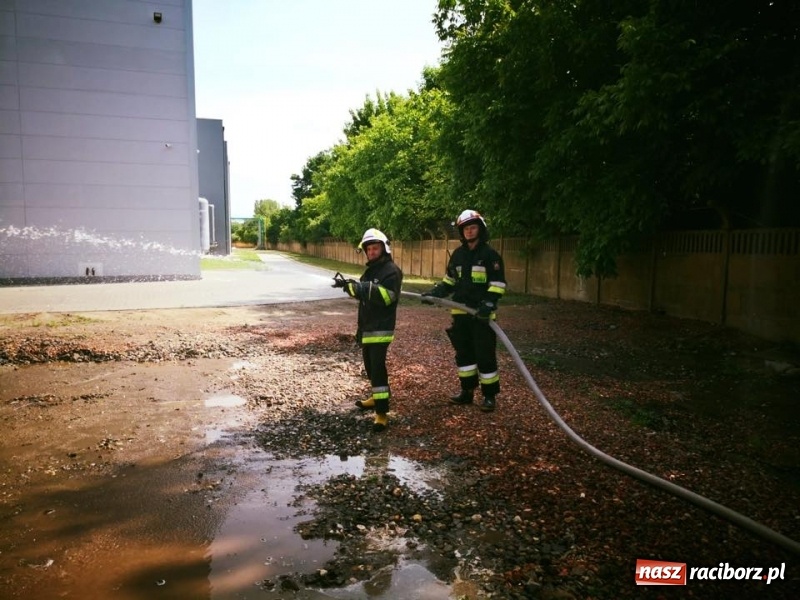 Zdjęcie w galerii na portalu naszraciborz.pl: Pożar w Henklu. Ćwiczenia raciborskiej kompanii odwodowej KSRG  wiadomości z regionu
