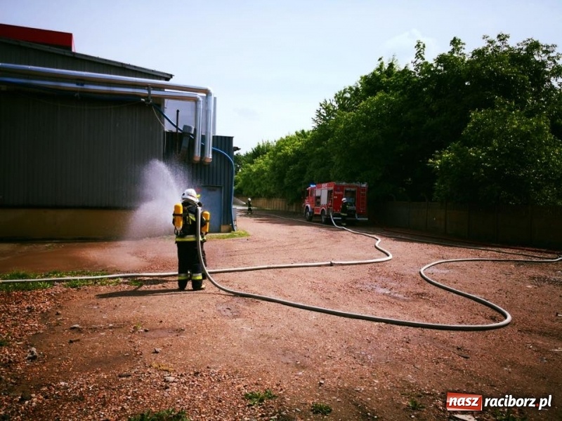 Zdjęcie w galerii na portalu naszraciborz.pl: Pożar w Henklu. Ćwiczenia raciborskiej kompanii odwodowej KSRG  wiadomości z regionu