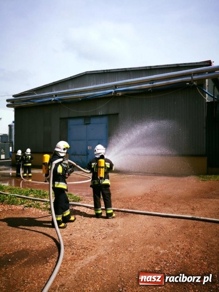 Zdjęcie w galerii na portalu naszraciborz.pl: Pożar w Henklu. Ćwiczenia raciborskiej kompanii odwodowej KSRG  wiadomości z regionu