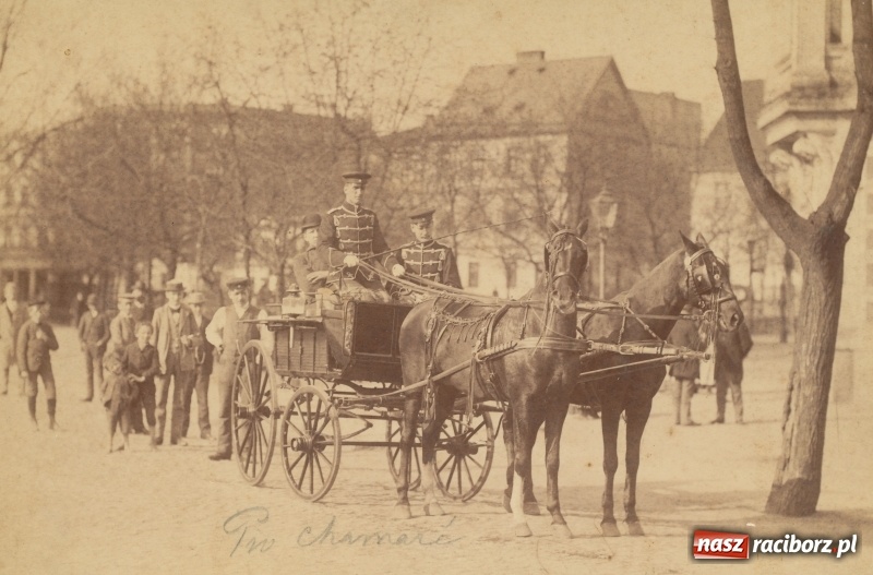 Zdjęcie w galerii na portalu naszraciborz.pl: Z placu Wolności znikają drzewa. Jak wyglądały dawniej, jak wyglądają dziś  wiadomości z regionu