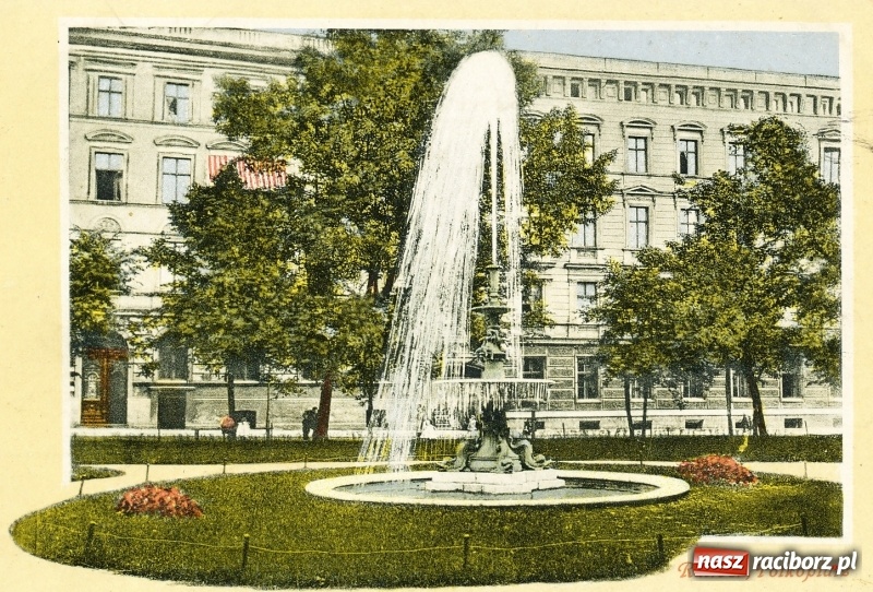 Zdjęcie w galerii na portalu naszraciborz.pl: Z placu Wolności znikają drzewa. Jak wyglądały dawniej, jak wyglądają dziś  wiadomości z regionu