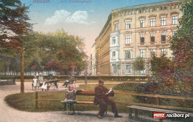 Zdjęcie w galerii na portalu naszraciborz.pl: Z placu Wolności znikają drzewa. Jak wyglądały dawniej, jak wyglądają dziś  wiadomości z regionu