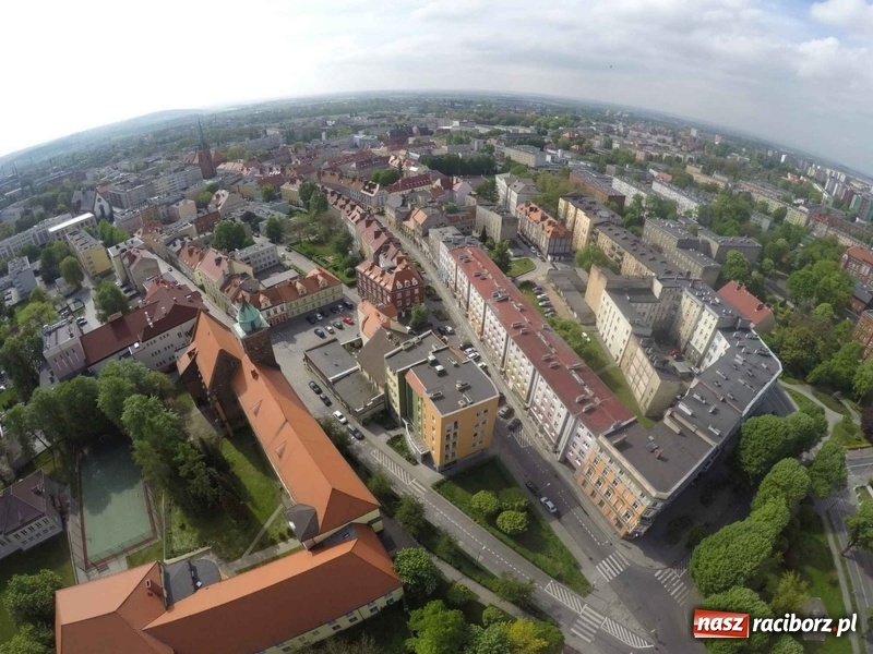 Zdjęcie w galerii na portalu naszraciborz.pl: Z placu Wolności znikają drzewa. Jak wyglądały dawniej, jak wyglądają dziś  wiadomości z regionu