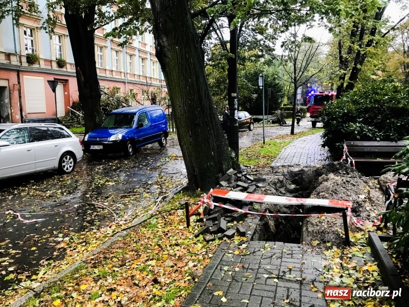 Zdjęcie w galerii na portalu naszraciborz.pl: Z placu Wolności znikają drzewa. Jak wyglądały dawniej, jak wyglądają dziś  wiadomości z regionu