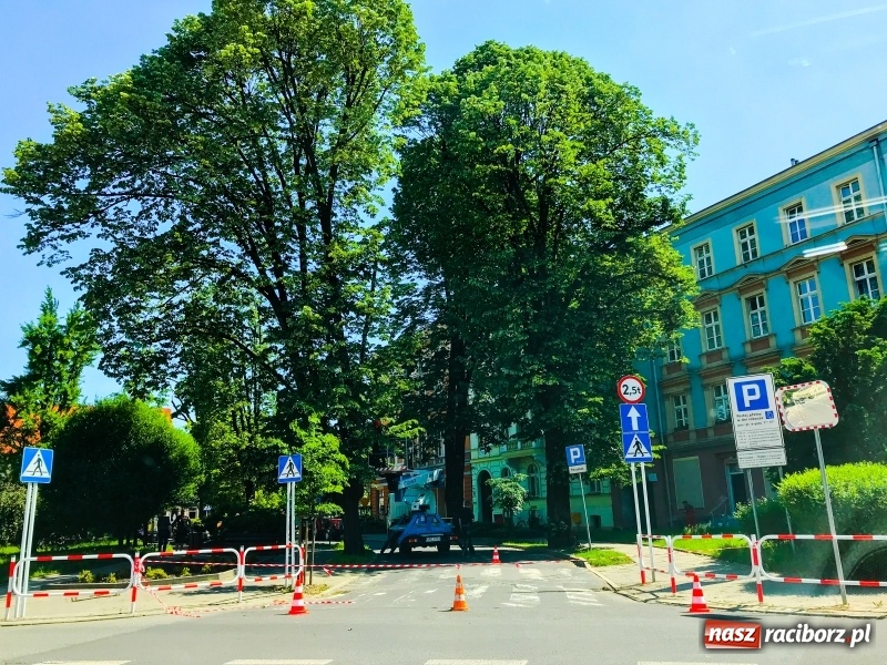 Zdjęcie w galerii na portalu naszraciborz.pl: Z placu Wolności znikają drzewa. Jak wyglądały dawniej, jak wyglądają dziś  wiadomości z regionu