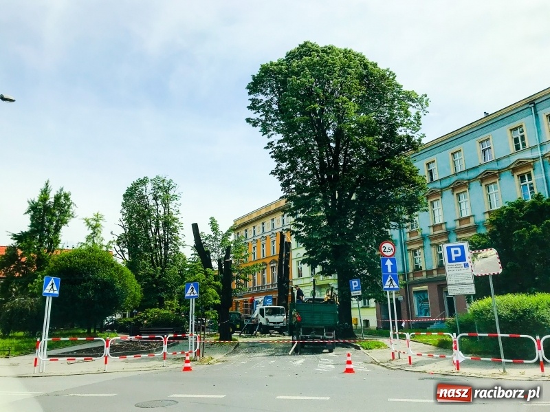 Zdjęcie w galerii na portalu naszraciborz.pl: Z placu Wolności znikają drzewa. Jak wyglądały dawniej, jak wyglądają dziś  wiadomości z regionu