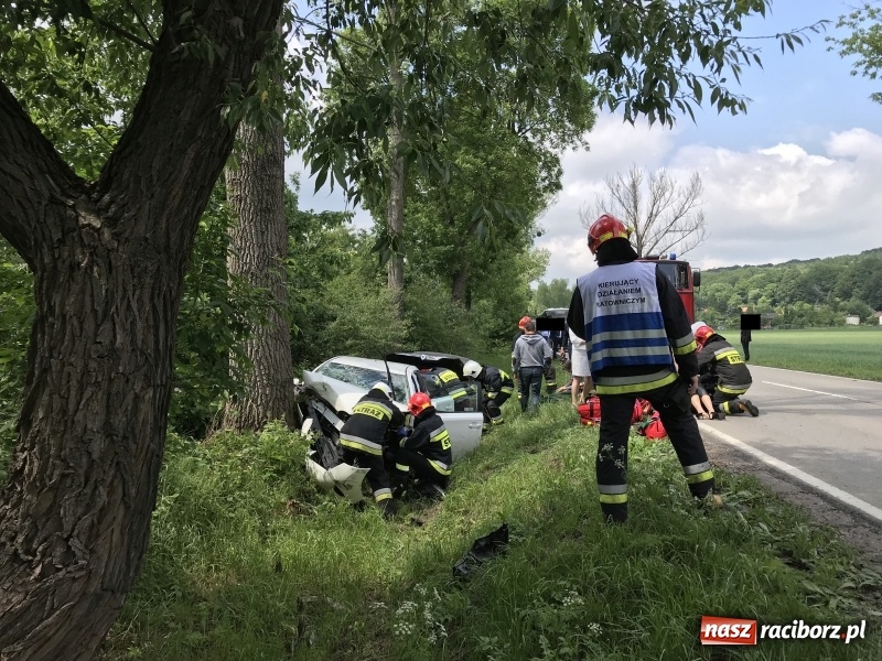 Zdjęcie w galerii na portalu naszraciborz.pl: Weselnicy wśród poszkodowanych w zderzeniu pojazdów na trasie Racibórz-Lubomia  wiadomości z regionu