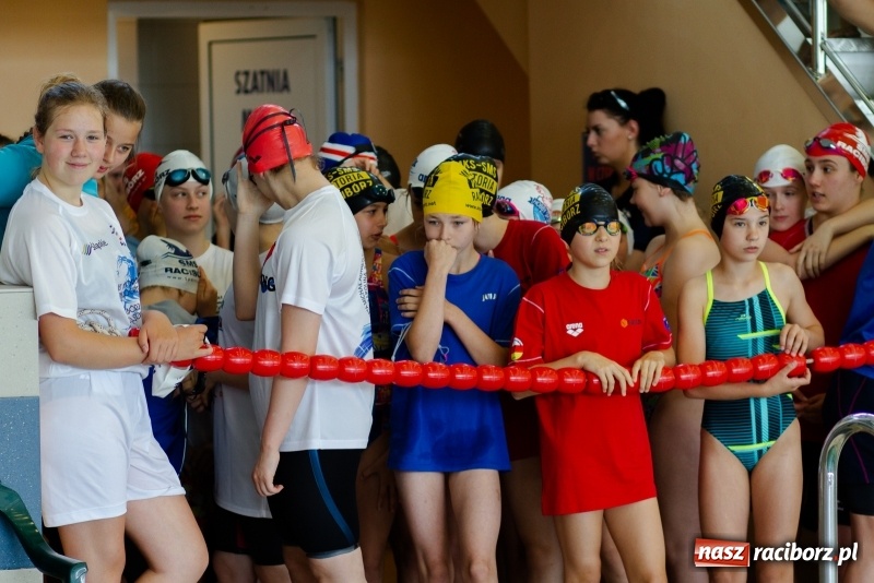 Zdjęcie w galerii na portalu naszraciborz.pl: Międzynarodowe Zawody Pływackie o Puchar Prezesa MKS SMS Victoria Racibórz  wiadomości z regionu