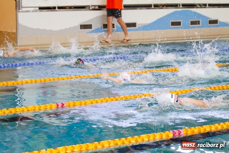 Zdjęcie w galerii na portalu naszraciborz.pl: Międzynarodowe Zawody Pływackie o Puchar Prezesa MKS SMS Victoria Racibórz  wiadomości z regionu