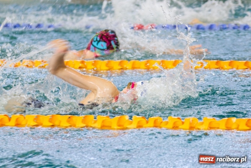 Zdjęcie w galerii na portalu naszraciborz.pl: Międzynarodowe Zawody Pływackie o Puchar Prezesa MKS SMS Victoria Racibórz  wiadomości z regionu