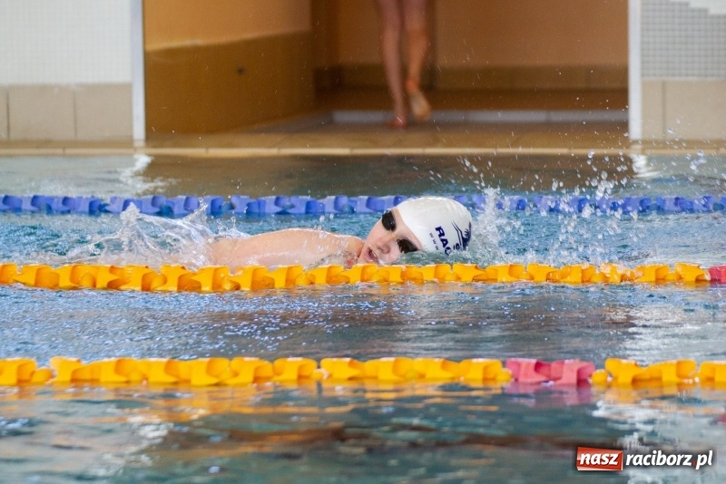 Zdjęcie w galerii na portalu naszraciborz.pl: Międzynarodowe Zawody Pływackie o Puchar Prezesa MKS SMS Victoria Racibórz  wiadomości z regionu