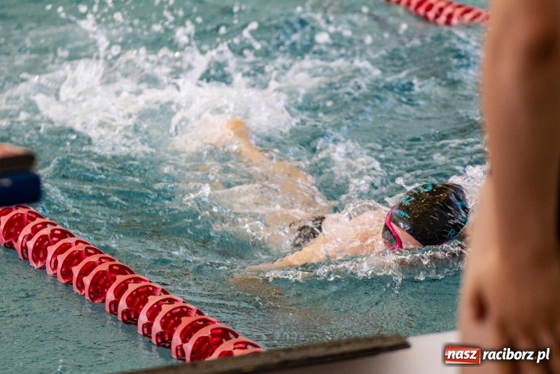 Zdjęcie w galerii na portalu naszraciborz.pl: Międzynarodowe Zawody Pływackie o Puchar Prezesa MKS SMS Victoria Racibórz  wiadomości z regionu