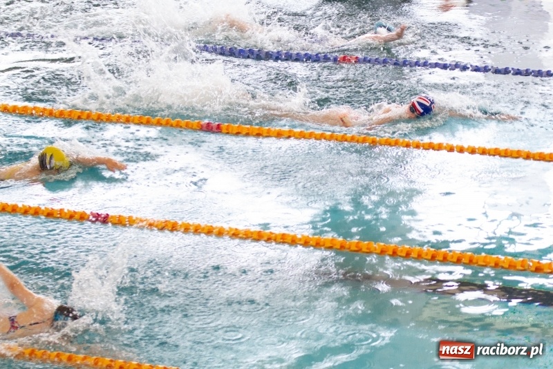 Zdjęcie w galerii na portalu naszraciborz.pl: Międzynarodowe Zawody Pływackie o Puchar Prezesa MKS SMS Victoria Racibórz  wiadomości z regionu