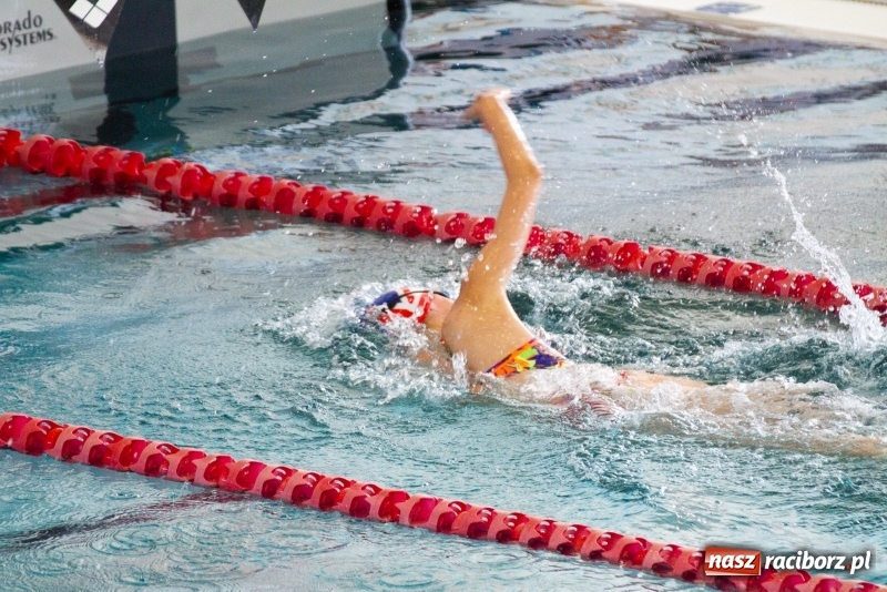 Zdjęcie w galerii na portalu naszraciborz.pl: Międzynarodowe Zawody Pływackie o Puchar Prezesa MKS SMS Victoria Racibórz  wiadomości z regionu