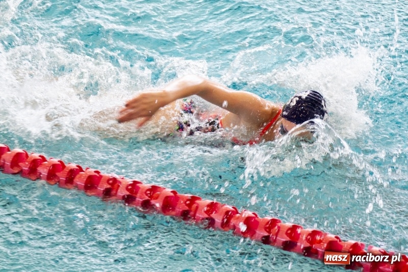 Zdjęcie w galerii na portalu naszraciborz.pl: Międzynarodowe Zawody Pływackie o Puchar Prezesa MKS SMS Victoria Racibórz  wiadomości z regionu