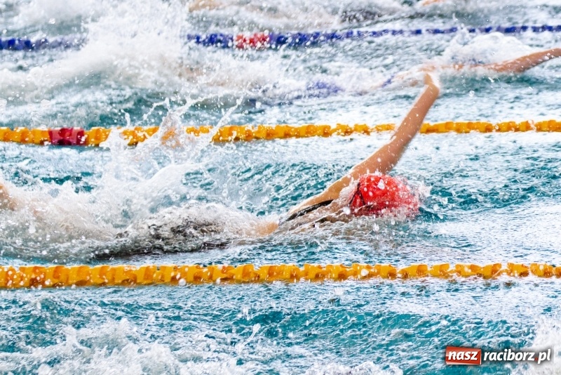 Zdjęcie w galerii na portalu naszraciborz.pl: Międzynarodowe Zawody Pływackie o Puchar Prezesa MKS SMS Victoria Racibórz  wiadomości z regionu